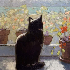 Le-chat-meteorologue-27-x-35-site