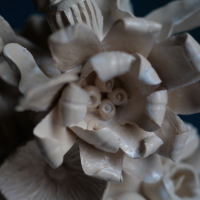 Detail-ceramique-blanche
