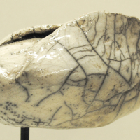 OISEAU