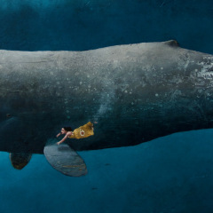 la-baleine-poivree-61-x-38-1